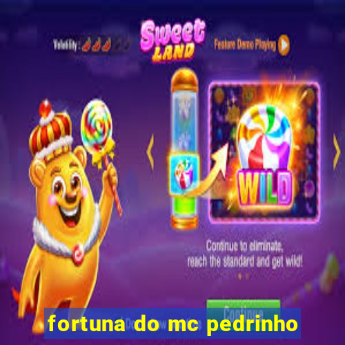 fortuna do mc pedrinho