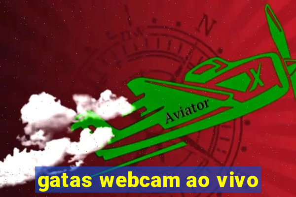 gatas webcam ao vivo