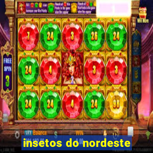 insetos do nordeste