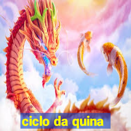 ciclo da quina