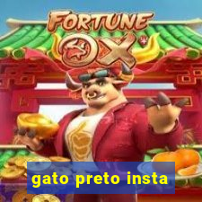 gato preto insta