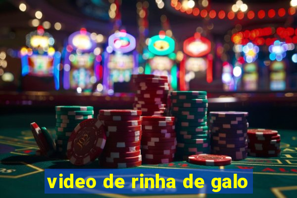 video de rinha de galo