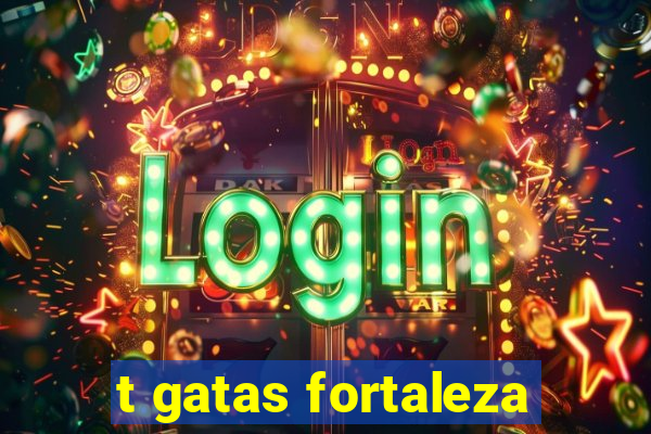 t gatas fortaleza