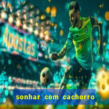 sonhar com cachorro numeros da mega sena