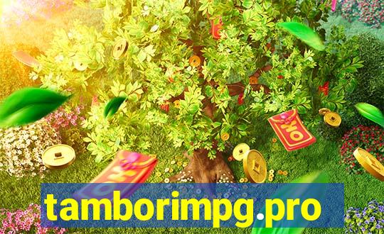 tamborimpg.pro